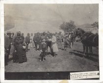 Ocean View Subdivision Sale